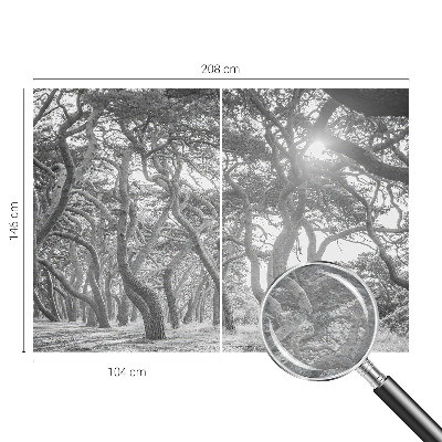 Papier peint panoramique chambre adulte Atmosférický les