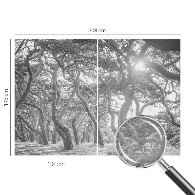 Papier peint photographique sur tissu non tissé Forêt atmosphérique