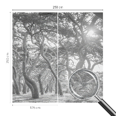 Papier peint panoramique chambre adulte Atmosférický les