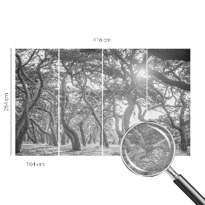 Papier peint panoramique chambre adulte Atmosférický les