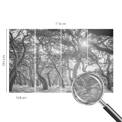 Papier peint photographique sur tissu non tissé Forêt atmosphérique