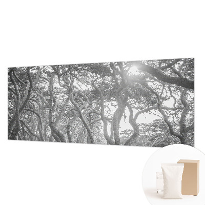 Papier peint panoramique chambre adulte avec un motif de forêt atmosphérique