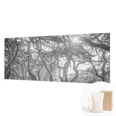 Papier peint photographique sur tissu non tissé Forêt atmosphérique