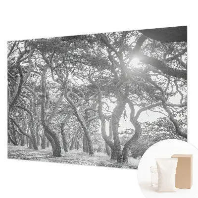 Papier peint photographique sur tissu non tissé Forêt atmosphérique