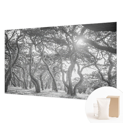 Papier peint panoramique chambre adulte avec un motif de forêt atmosphérique