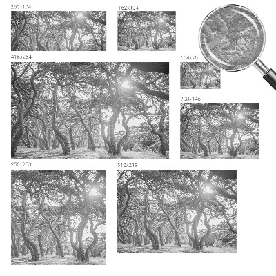 Papier peint panoramique chambre adulte avec un motif de forêt atmosphérique