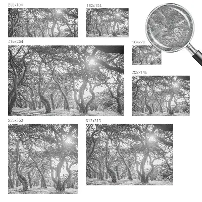 Papier peint photographique sur tissu non tissé Forêt atmosphérique