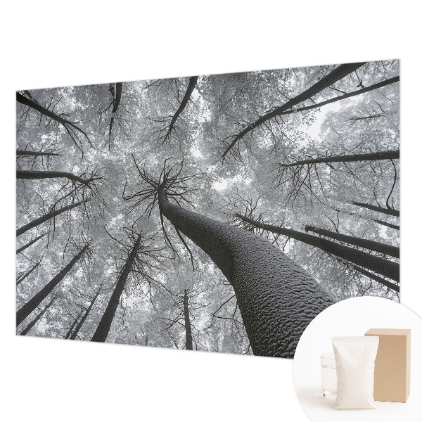 Papier peint panoramique haut de gamme avec un motif de paysage hivernal