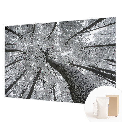 Papier peint panoramique haut de gamme avec un motif de paysage hivernal