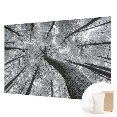 Papier peint photo sur tissu non tissé paysage d'hiver