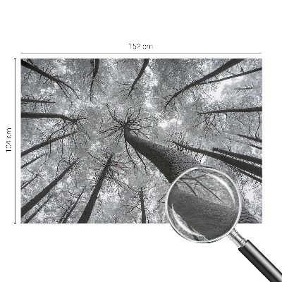 Papier peint panoramique haut de gamme Zimná krajina