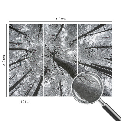 Papier peint panoramique haut de gamme Zimná krajina