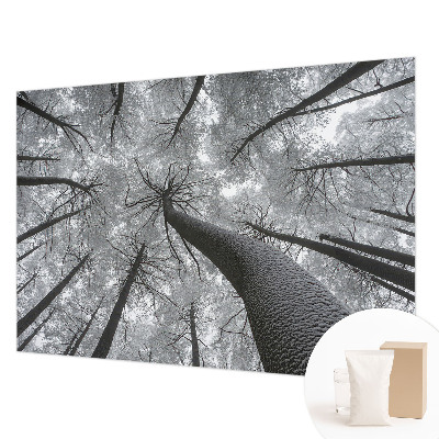 Papier peint panoramique haut de gamme avec un motif de paysage hivernal