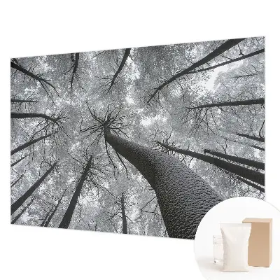 Papier peint photo sur tissu non tissé paysage d'hiver