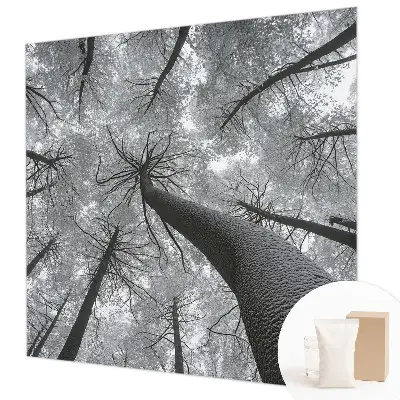 Papier peint photo sur tissu non tissé paysage d'hiver