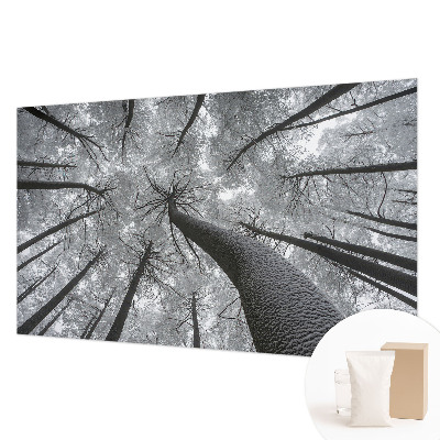 Papier peint panoramique haut de gamme avec un motif de paysage hivernal