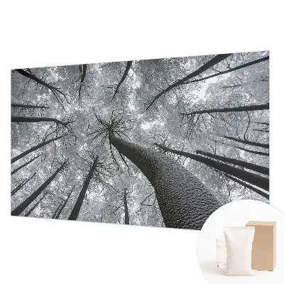 Papier peint photo sur tissu non tissé paysage d'hiver