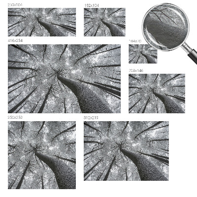 Papier peint panoramique haut de gamme Zimná krajina