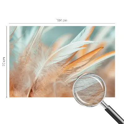 Papier peint photo intissé avec un motif de fines plumes