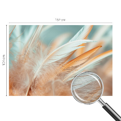 Papier peint photo intissé avec un motif de fines plumes