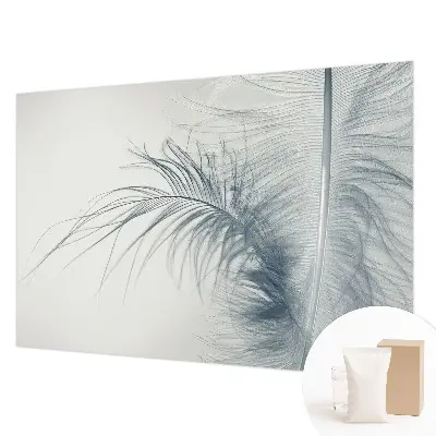 Papier peint photographique intissé Plume délicate