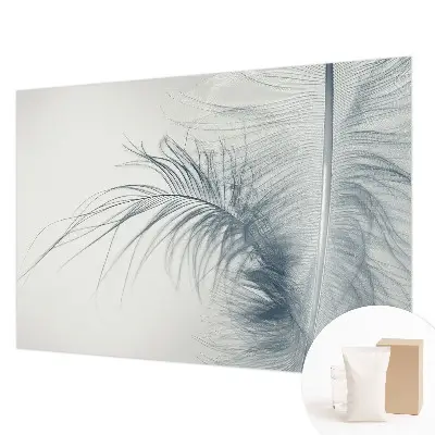 Papier peint photographique intissé Plume délicate