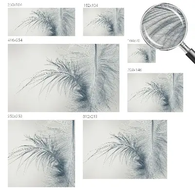 Papier peint photographique intissé Plume délicate