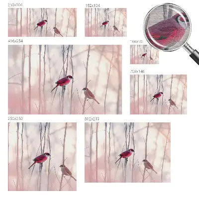 Papier peint photo imprimé sur tissu non tissé couple d'oiseaux
