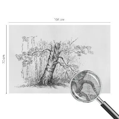 Papier peint intissé Arbre forestier