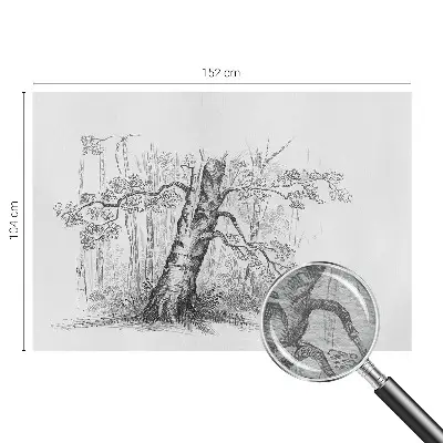 Papier peint intissé Arbre forestier