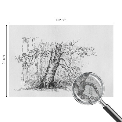Poster mural panoramique avec un motif d'arbre forestier
