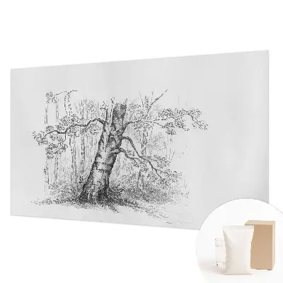 Papier peint intissé Arbre forestier
