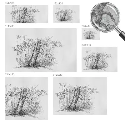 Papier peint intissé Arbre forestier