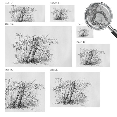 Poster mural panoramique avec un motif d'arbre forestier