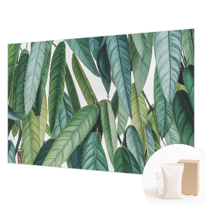 Papier peint salon moderne avec un motif de feuilles naturelles