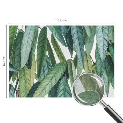 Papier peint photo grand format pour le mur Feuilles naturelles