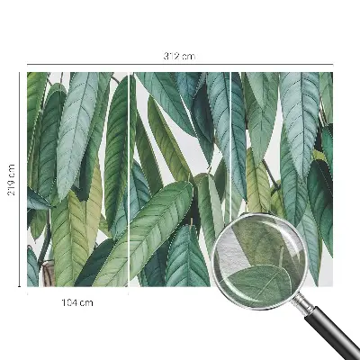 Papier peint photo grand format pour le mur Feuilles naturelles