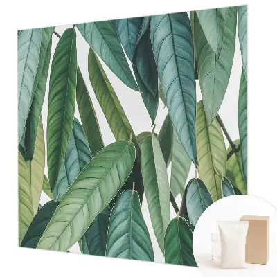 Papier peint photo grand format pour le mur Feuilles naturelles