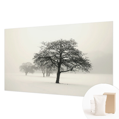 Papier peint panoramique intissé Zimné stromy