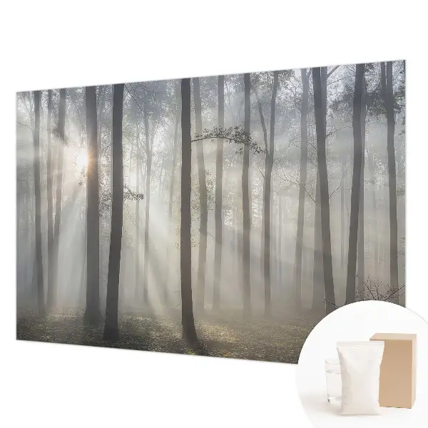 Papier peint photo grand format pour le mur Forêt éthérée