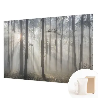 Papier peint photo grand format pour le mur Forêt éthérée