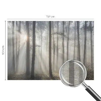 Papier peint photo grand format pour le mur Forêt éthérée