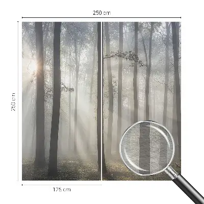 Papier peint photo grand format pour le mur Forêt éthérée