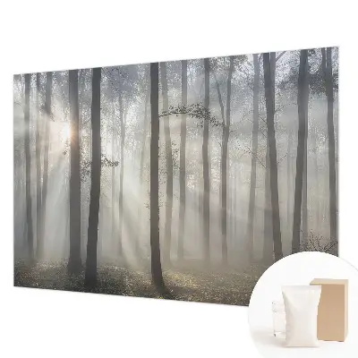 Papier peint photo grand format pour le mur Forêt éthérée