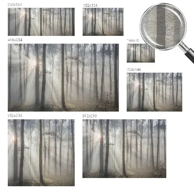 Papier peint photo grand format pour le mur Forêt éthérée