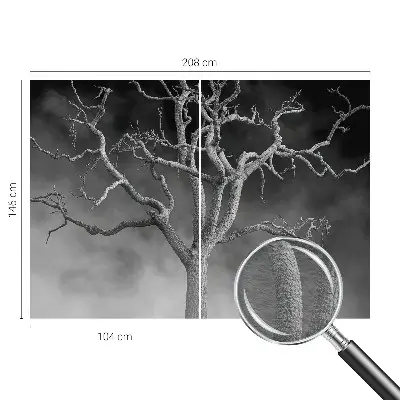 Papier peint photo grand format pour le mur Arbre brumeux