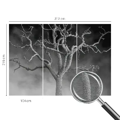 Papier peint photo grand format pour le mur Arbre brumeux