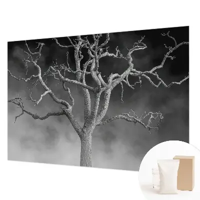 Papier peint photo grand format pour le mur Arbre brumeux