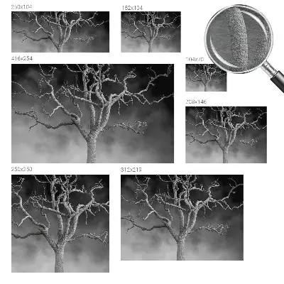 Papier peint photo grand format pour le mur Arbre brumeux