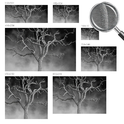 Papier peint panoramique haut de gamme avec un motif d'arbre hmlistý